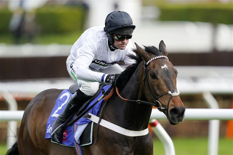 CHELTENHAM, ENGLAND - MARCH 15: Nico de Boinville on Constitution Hill run to win the Sky Bet Supreme Novices' Hurdle race during day one of the Cheltenham Festival 2022 at Cheltenham Racecourse on March 15, 2022 in Cheltenham, England. (Photo by Alan Crowhurst/Getty Images)