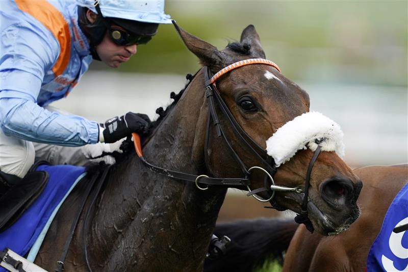 CHELTENHAM, ENGLAND - MARCH 15: Nico de Boinville on Marie's Rock approach the finish line to win The Mares’ Hurdle race during day one of the Cheltenham Festival 2022 at Cheltenham Racecourse on March 15, 2022 in Cheltenham, England. (Photo by Alan Crowhurst/Getty Images)