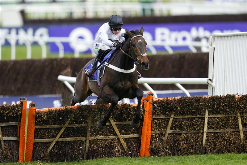 CHELTENHAM, ENGLAND - MARCH 15: Nico de Boinville on Constitution Hill clear the last hurdle to win the Sky Bet Supreme Novices' Hurdle race during day one of the Cheltenham Festival 2022 at Cheltenham Racecourse on March 15, 2022 in Cheltenham, England. (Photo by Alan Crowhurst/Getty Images)