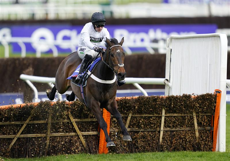 CHELTENHAM, ENGLAND - MARCH 15: Nico de Boinville on Constitution Hill clear the last hurdle to win the Sky Bet Supreme Novices' Hurdle race during day one of the Cheltenham Festival 2022 at Cheltenham Racecourse on March 15, 2022 in Cheltenham, England. (Photo by Alan Crowhurst/Getty Images)