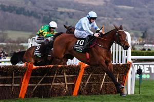 Jockey Rachael Blackmore rides Honeysuckle (R) to victory ahead of Aidan Coleman on Epatante (L) in the Champion Hurdle on the first day of the Cheltenham Festival at Cheltenham Racecourse, in Cheltenham, England on March 15, 2022. (Photo by Adrian DENNIS / AFP) (Photo by ADRIAN DENNIS/AFP via Getty Images)