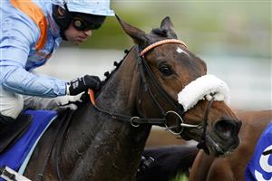 CHELTENHAM, ENGLAND - MARCH 15: Nico de Boinville on Marie's Rock approach the finish line to win The Mares’ Hurdle race during day one of the Cheltenham Festival 2022 at Cheltenham Racecourse on March 15, 2022 in Cheltenham, England. (Photo by Alan Crowhurst/Getty Images)