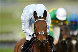 CHELTENHAM, ENGLAND - MARCH 15: Rachel Blackmore on Honeysuckle look on after crossing the finish line to win The Unibet Champion Hurdle race during day one of the Cheltenham Festival 2022 at Cheltenham Racecourse on March 15, 2022 in Cheltenham, England. (Photo by Alan Crowhurst/Getty Images)