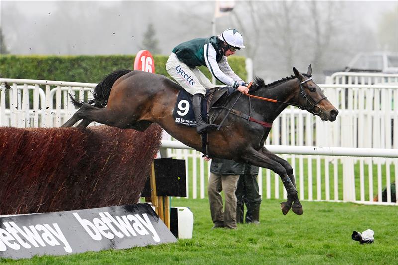CHELTENHAM, ENGLAND - MARCH 16: Charlie Deutsch on L'Homme Presse clear the last to win the Brown Advisory Novices' Chase race during day two of Cheltenham Festival 2022 at Cheltenham Racecourse on March 16, 2022 in Cheltenham, England. (Photo by Mike Hewitt/Getty Images)