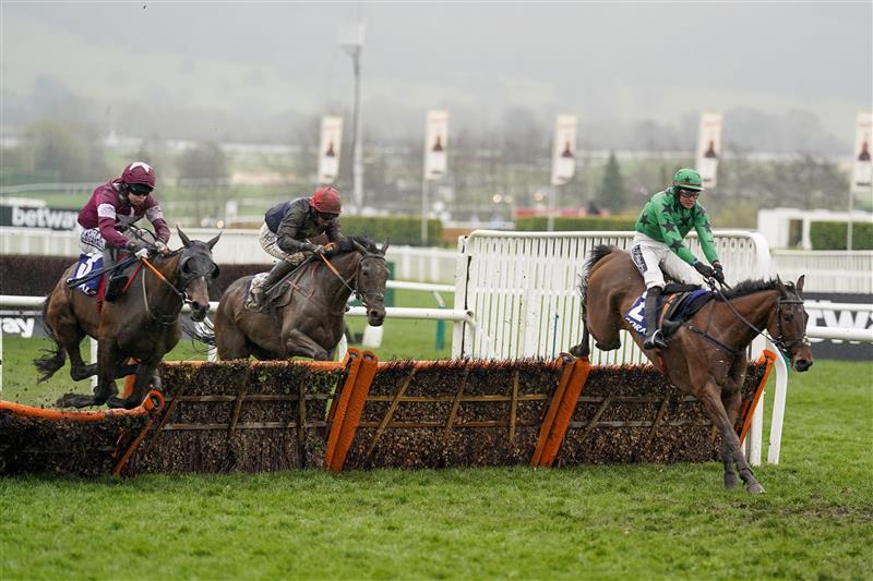 CHELTENHAM, ENGLAND - MARCH 16: Shane Fitzgerald riding Commander Of Fleet (maroon) clear the last to win The Coral Cup Handicap Hurdle on day two of The Festival at Cheltenham Racecourse on March 16, 2022 in Cheltenham, England. (Photo by Alan Crowhurst/Getty Images)