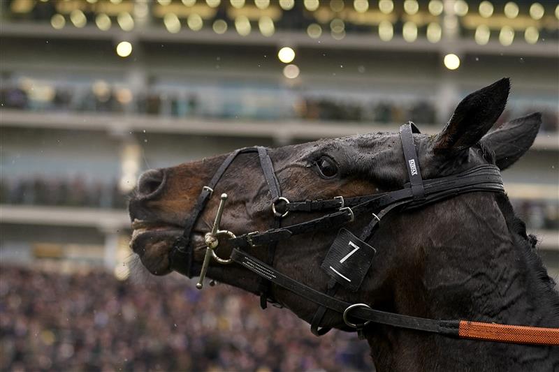 CHELTENHAM, ENGLAND - MARCH 16: Nico de Boinville riding Shishkin return after being pulled up during The Betway Queen Mother Champion Chase on day two of The Festival at Cheltenham Racecourse on March 16, 2022 in Cheltenham, England. (Photo by Alan Crowhurst/Getty Images)