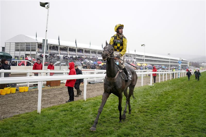CHELTENHAM, ENGLAND - MARCH 16: Nico de Boinville riding Shishkin return after being pulled up during The Betway Queen Mother Champion Chase on day two of The Festival at Cheltenham Racecourse on March 16, 2022 in Cheltenham, England. (Photo by Alan Crowhurst/Getty Images)