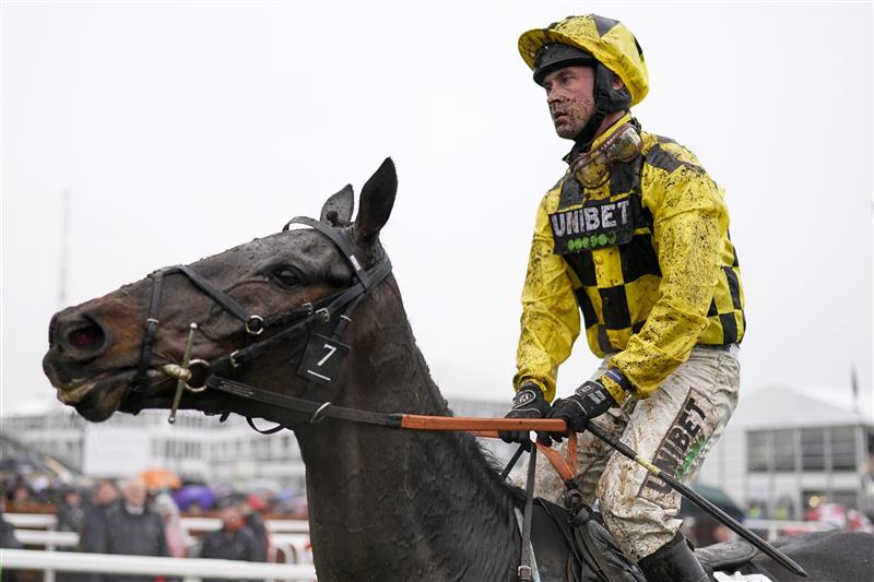 CHELTENHAM, ENGLAND - MARCH 16: Nico de Boinville riding Shishkin return after being pulled up during The Betway Queen Mother Champion Chase on day two of The Festival at Cheltenham Racecourse on March 16, 2022 in Cheltenham, England. (Photo by Alan Crowhurst/Getty Images)