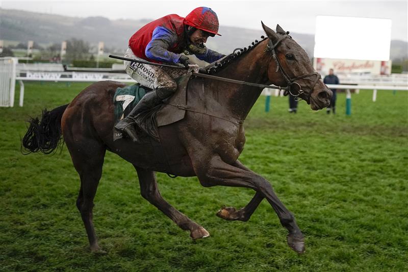 CHELTENHAM, ENGLAND - MARCH 16: Patrick Mullins riding Facile Vega win The Weatherbys Champion Bumper on day two of The Festival at Cheltenham Racecourse on March 16, 2022 in Cheltenham, England. (Photo by Alan Crowhurst/Getty Images)