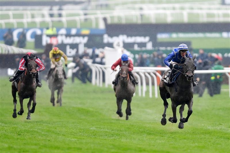 CHELTENHAM, ENGLAND - MARCH 16: Paul Townend (R, blue and white kit) on Energumene approach the finish line before Charlie Deutsch (L, red and black kit) on Funambule Sivola to win the Betway Queen Mother Champion Chase race during day two of Cheltenham Festival 2022 at Cheltenham Racecourse on March 16, 2022 in Cheltenham, England. (Photo by Mike Hewitt/Getty Images)