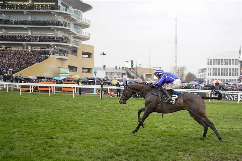 CHELTENHAM, ENGLAND - MARCH 16: Paul Townend riding Energumene clear the last to win The Betway Queen Mother Champion Chase on day two of The Festival at Cheltenham Racecourse on March 16, 2022 in Cheltenham, England. (Photo by Alan Crowhurst/Getty Images)