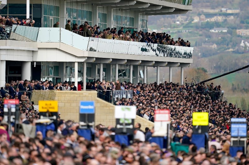 cheltenham festival