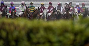 CHELTENHAM, ENGLAND - MARCH 16: Davy Russell riding Tiger Roll (C, purple cap) during The Glenfarclas Chase on day two of The Festival at Cheltenham Racecourse on March 16, 2022 in Cheltenham, England. (Photo by Alan Crowhurst/Getty Images)