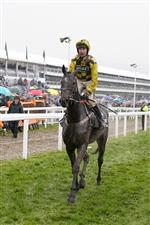 CHELTENHAM, ENGLAND - MARCH 16: Nico de Boinville riding Shishkin return after being pulled up during The Betway Queen Mother Champion Chase on day two of The Festival at Cheltenham Racecourse on March 16, 2022 in Cheltenham, England. (Photo by Alan Crowhurst/Getty Images)