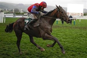 CHELTENHAM, ENGLAND - MARCH 16: Patrick Mullins riding Facile Vega win The Weatherbys Champion Bumper on day two of The Festival at Cheltenham Racecourse on March 16, 2022 in Cheltenham, England. (Photo by Alan Crowhurst/Getty Images)