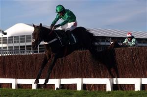 2022 Festival Plate Tips - 12/1 and 20/1 shots to back on St Patrick's Day