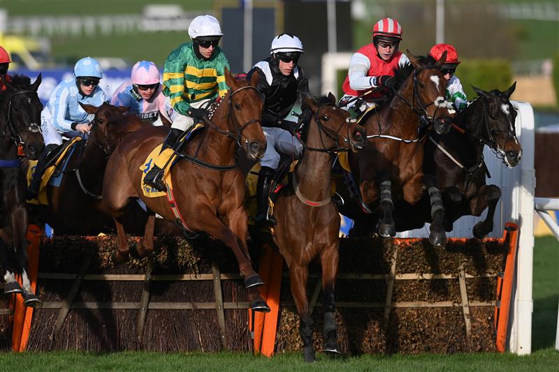 CHELTENHAM, ENGLAND - MARCH 17: Runners and riders in action in the Ryanair Mares' Novices' Hurdle on day three of the Cheltenham Festival 2022 at Cheltenham Racecourse on March 17, 2022 in Cheltenham, England. (Photo by Mike Hewitt/Getty Images)