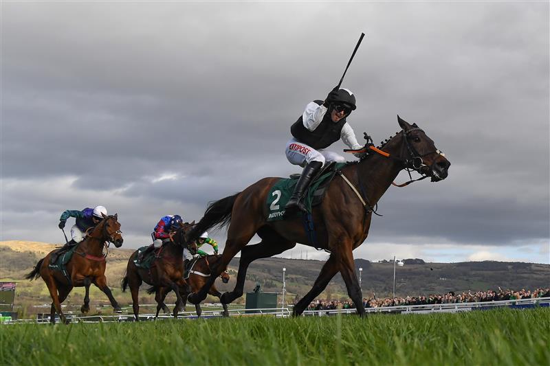 CHELTENHAM, ENGLAND - MARCH 17: Danny Mullins and Flooring Porter win the Paddy Power Stayers' Hurdle on day three of the Cheltenham Festival 2022 at Cheltenham Racecourse on March 17, 2022 in Cheltenham, England. (Photo by Mike Hewitt/Getty Images)