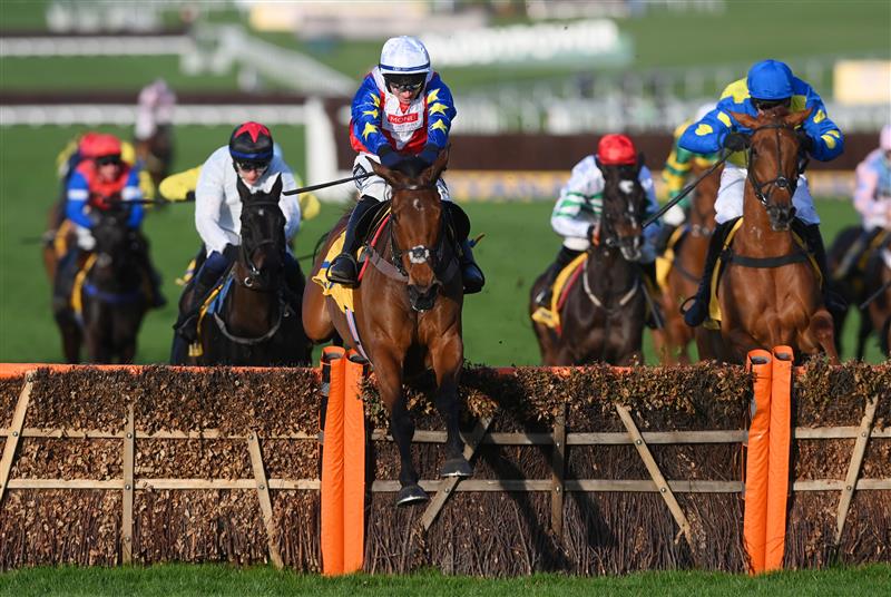 CHELTENHAM, ENGLAND - MARCH 17: Jonathan Burke (white cap) on Love Envoi clear the last to win The Dawn Run Mares’ Novices’ Hurdle race during day three of The Cheltenham Festival 2022 at Cheltenham Racecourse on March 17, 2022 in Cheltenham, England. (Photo by Mike Hewitt/Getty Images)
