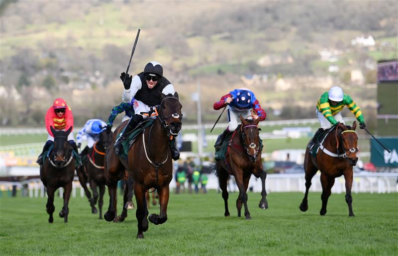 CHELTENHAM, ENGLAND - MARCH 17: Danny Mullins (black and white kit) on Flooring Porter celebrates as they approach the finish line to win The Paddy Power Stayers’ Hurdle race during day three of The Cheltenham Festival 2022 at Cheltenham Racecourse on March 17, 2022 in Cheltenham, England. (Photo by Mike Hewitt/Getty Images)