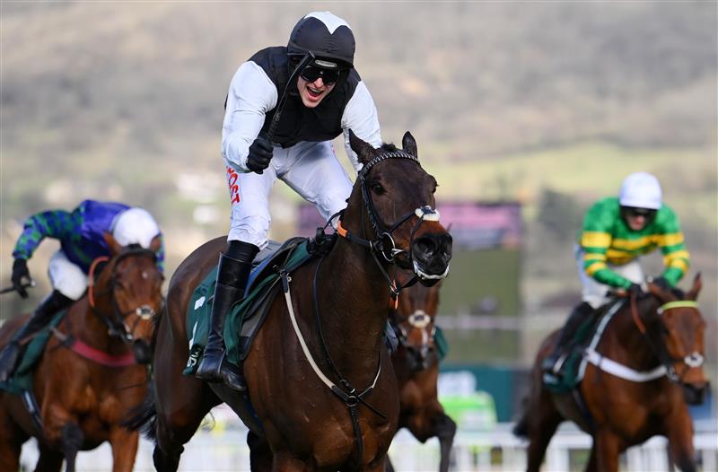 CHELTENHAM, ENGLAND - MARCH 17: Danny Mullins (black and white kit) on Flooring Porter celebrates as they approach the finish line to win The Paddy Power Stayers’ Hurdle race during day three of The Cheltenham Festival 2022 at Cheltenham Racecourse on March 17, 2022 in Cheltenham, England. (Photo by Mike Hewitt/Getty Images)