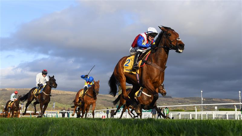 CHELTENHAM, ENGLAND - MARCH 17: Jonathan Burke (white cap) on Love Envoi approach the finish line to win The Dawn Run Mares’ Novices’ Hurdle race during day three of The Cheltenham Festival 2022 at Cheltenham Racecourse on March 17, 2022 in Cheltenham, England. (Photo by Mike Hewitt/Getty Images)