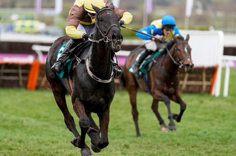GALOPIN DES CHAMPS