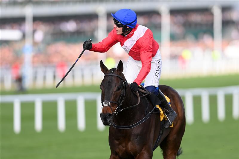 CHELTENHAM, ENGLAND - MARCH 17: Paul Townend on Allaho celebrates victory in The Ryanair Chase race during day three of The Cheltenham Festival 2022 at Cheltenham Racecourse on March 17, 2022 in Cheltenham, England. (Photo by Mike Hewitt/Getty Images)