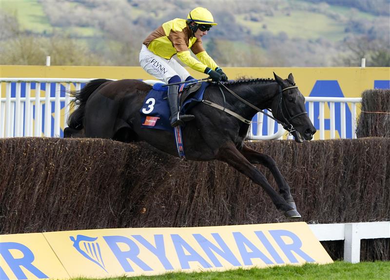 CHELTENHAM, ENGLAND - MARCH 17: Paul Townend on Galopin Des Champs clear the last but later part ways in The Turners Novices’ Chase race during day three of The Cheltenham Festival 2022 at Cheltenham Racecourse on March 17, 2022 in Cheltenham, England. (Photo by Alan Crowhurst/Getty Images)