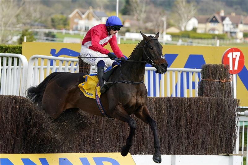 CHELTENHAM, ENGLAND - MARCH 17: Paul Townend on Allaho clears the last to win The Ryanair Chase race during day three of The Cheltenham Festival 2022 at Cheltenham Racecourse on March 17, 2022 in Cheltenham, England. (Photo by Alan Crowhurst/Getty Images)