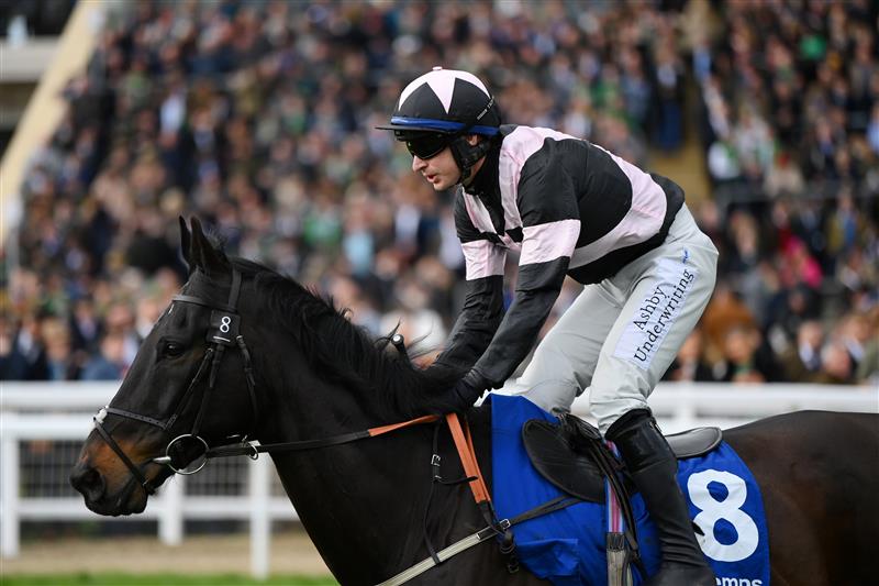 CHELTENHAM, ENGLAND - MARCH 17: Tom O'Brien on Third Wind make their way down to the starting area in The Pertemps Network Final Handicap Hurdle race during day three of The Cheltenham Festival 2022 at Cheltenham Racecourse on March 17, 2022 in Cheltenham, England. (Photo by Mike Hewitt/Getty Images)