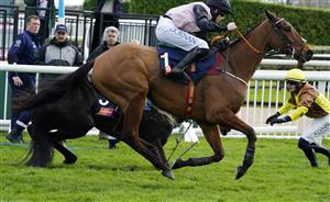 CHELTENHAM, ENGLAND - MARCH 17: Rachael Blackmore (black and pink kit) on Bob Olinger pass Paul Townend (yellow and brown kit) and Galopin Des Champs who parted ways after the last in The Turners Novices’ Chase race during day three of The Cheltenham Festival 2022 at Cheltenham Racecourse on March 17, 2022 in Cheltenham, England. (Photo by Alan Crowhurst/Getty Images)