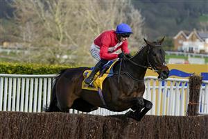 CHELTENHAM, ENGLAND - MARCH 17: Paul Townend riding Allaho to victory in The Ryanair Chase on day three of The Festival at Cheltenham Racecourse on March 17, 2022 in Cheltenham, England. (Photo by Alan Crowhurst/Getty Images)