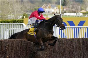 CHELTENHAM, ENGLAND - MARCH 17: Paul Townend on Allaho clears the last to win The Ryanair Chase race during day three of The Cheltenham Festival 2022 at Cheltenham Racecourse on March 17, 2022 in Cheltenham, England. (Photo by Alan Crowhurst/Getty Images)