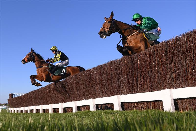 CHELTENHAM, ENGLAND - MARCH 18: Spectators are seen in the grandstand as they watch The Albert Bartlett Novices' Hurdle race during day four of the Cheltenham Festival 2022 at Cheltenham Racecourse on March 18, 2022 in Cheltenham, England. (Photo by Alan Crowhurst/Getty Images)