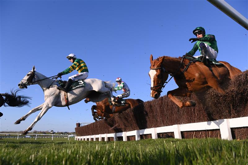 CHELTENHAM, ENGLAND - MARCH 18: Mark Walsh and Elimay (3) jump the 3rd last on their way to victory in the Mrs Paddy Power Mares' Chase on day four of the Cheltenham Festival 2022 at Cheltenham Racecourse on March 18, 2022 in Cheltenham, England. (Photo by Mike Hewitt/Getty Images)
