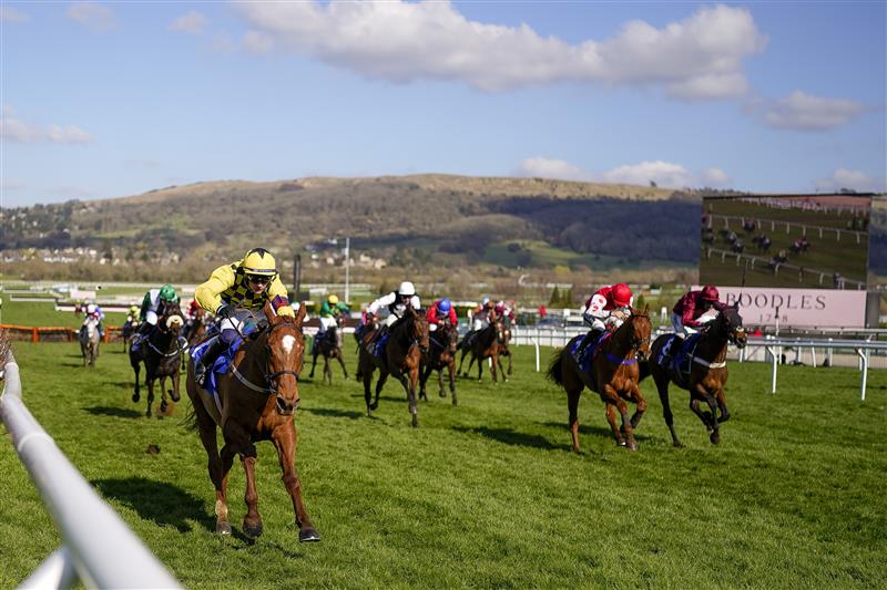 CHELTENHAM, ENGLAND - MARCH 18: Paul Townend riding State Man (yellow) clear the last to win The McCoy Contractors County Handicap Hurdle on day four of The Festival at Cheltenham Racecourse on March 18, 2022 in Cheltenham, England. (Photo by Alan Crowhurst/Getty Images)
