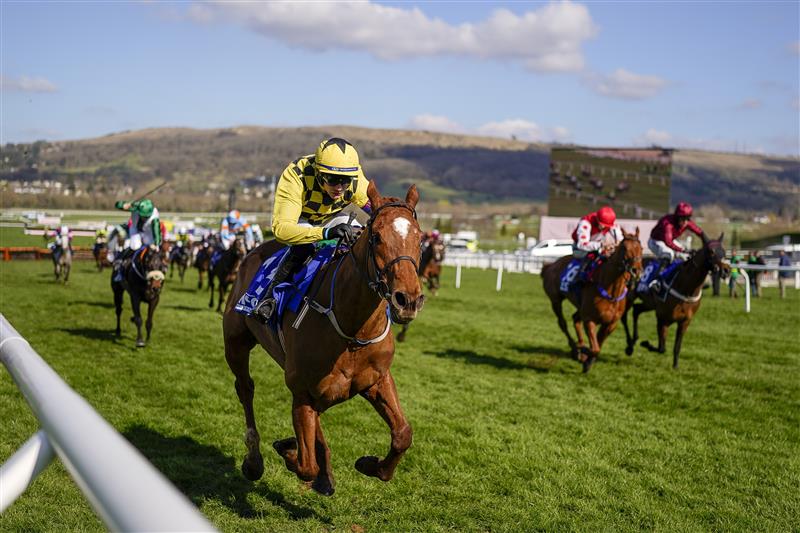 CHELTENHAM, ENGLAND - MARCH 18: Paul Townend riding State Man (yellow) clear the last to win The McCoy Contractors County Handicap Hurdle on day four of The Festival at Cheltenham Racecourse on March 18, 2022 in Cheltenham, England. (Photo by Alan Crowhurst/Getty Images)