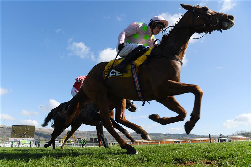 CHELTENHAM, ENGLAND - MARCH 18: Paul Townend on Vauban approach the finish line to win The JCB Triumph Hurdle race during day four of the Cheltenham Festival 2022 at Cheltenham Racecourse on March 18, 2022 in Cheltenham, England. (Photo by Mike Hewitt/Getty Images)
