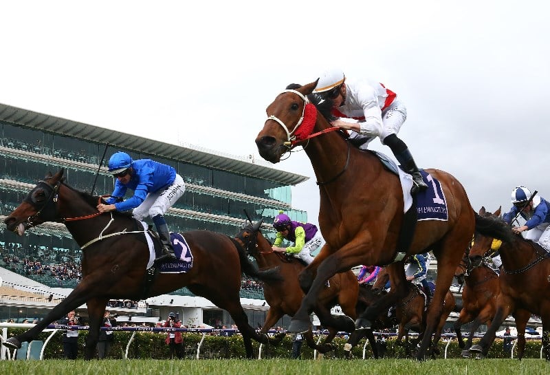 Roughie Tips March 19