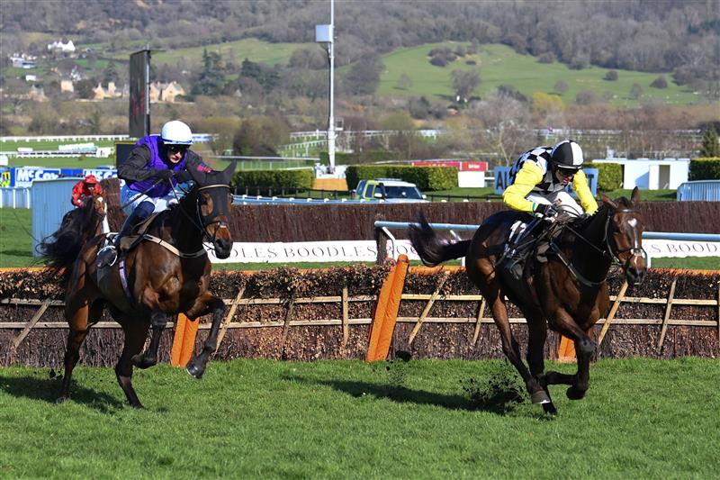 CHELTENHAM, ENGLAND - MARCH 18: Sean O'Keeffe (R, black and white cap) on The Nice Guy clear the last before Paul Townend (white cap) on Minella Cocooner to win The Albert Bartlett Novices' Hurdle race during day four of the Cheltenham Festival 2022 at Cheltenham Racecourse on March 18, 2022 in Cheltenham, England. (Photo by Mike Hewitt/Getty Images)