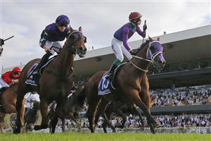 SYDNEY, AUSTRALIA - MARCH 19: Robbie Dolan on Shelby SixtySix wins race 9 the Furphy Galaxy during Sydney Racing Longines Golden Slipper Day, at Rosehill Gardens on March 19, 2022 in Sydney, Australia. (Photo by Mark Evans/Getty Images)