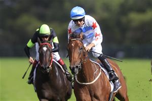SYDNEY, AUSTRALIA - MARCH 19: Hugh Bowman on Forbidden Love wins race 7 the Agency George Ryder Stakes during Sydney Racing Longines Golden Slipper Day, at Rosehill Gardens on March 19, 2022 in Sydney, Australia. (Photo by Mark Evans/Getty Images)