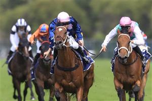 SYDNEY, AUSTRALIA - MARCH 19: Jay Ford on No Compromise wins race 3 the Queen’s Cup during Sydney Racing Longines Golden Slipper Day, at Rosehill Gardens on March 19, 2022 in Sydney, Australia. (Photo by Mark Evans/Getty Images)