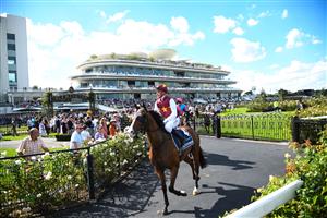 MELBOURNE, AUSTRALIA - MARCH 19: Zac Spain riding Streets Of Avalon heads to the start before placing in Race 6, the The Seppelt Wines All-star Mile, during All-Star Mile Race day at Flemington Racecourse on March 19, 2022 in Melbourne, Australia. (Photo by Vince Caligiuri/Getty Images)