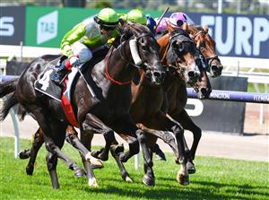MELBOURNE, AUSTRALIA - MARCH 19: Craig Williams riding Blandford Lad winning Race 1, the Kennedy Grand Handicap Classic, during All-Star Mile Race day at Flemington Racecourse on March 19, 2022 in Melbourne, Australia. (Photo by Vince Caligiuri/Getty Images)