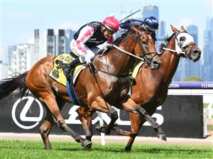 MELBOURNE, AUSTRALIA - MARCH 19: Damien Oliver riding Umgawa winning Race 4, the Vobis Gold Reef,during All-Star Mile Race day at Flemington Racecourse on March 19, 2022 in Melbourne, Australia. (Photo by Vince Caligiuri/Getty Images)