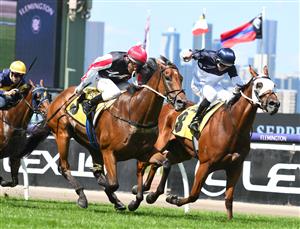 MELBOURNE, AUSTRALIA - MARCH 19: Damien Oliver riding Umgawa winning Race 4, the Vobis Gold Reef,during All-Star Mile Race day at Flemington Racecourse on March 19, 2022 in Melbourne, Australia. (Photo by Vince Caligiuri/Getty Images)