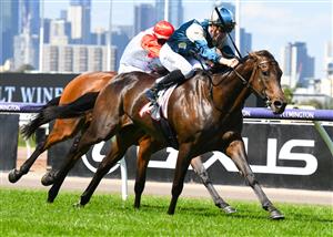 MELBOURNE, AUSTRALIA - MARCH 19: John Allen riding Yonce winning sixth straight race in Race 3, the The G.h. Mumm Mystic Journey, during All-Star Mile Race day at Flemington Racecourse on March 19, 2022 in Melbourne, Australia. (Photo by Vince Caligiuri/Getty Images)