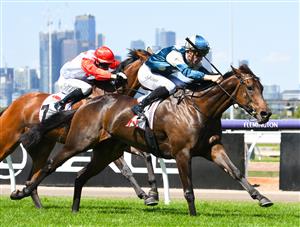 MELBOURNE, AUSTRALIA - MARCH 19: John Allen riding Yonce winning sixth straight race in Race 3, the The G.h. Mumm Mystic Journey, during All-Star Mile Race day at Flemington Racecourse on March 19, 2022 in Melbourne, Australia. (Photo by Vince Caligiuri/Getty Images)